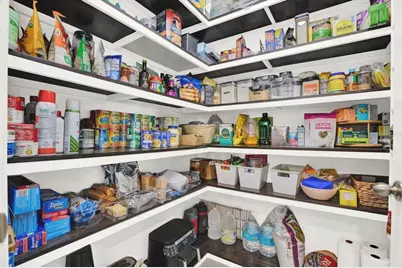 32620 Abby Lax Lane, Wesley Chapel, FL 33543 - Photo 10