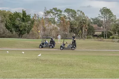 4302 Carrollwood Village Drive, Tampa, FL 33618 - Photo 68