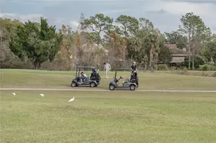 4302 Carrollwood Village Dr, Tampa, FL 33618 - Photo 68