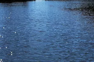 6312 Newtown Cir, Tampa, FL 33615 - Photo 12