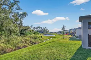 12028 Blue Diamond Trl, Parrish, FL 34219 - Photo 22