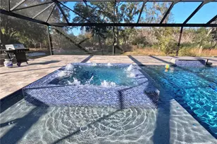 10112 Judy Rd, Dover, FL 33527 - Photo 44