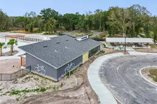 21462 Wistful Yearn Dr, Land O Lakes, FL 34637 - Photo 92
