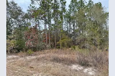 10439 Gypsy Avenue, Weeki Wachee, FL 34613 - Photo 6