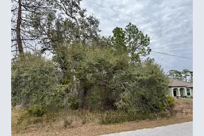 10439 Gypsy Avenue, Weeki Wachee, FL 34613 - Photo 10