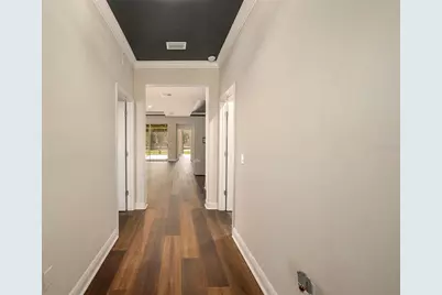 19772 Preservation Woods Drive, Lutz, FL 33548 - Photo 4