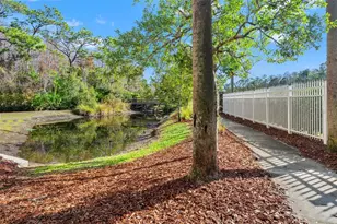 7305 Gaberia Rd, New Port Richey, FL 34655 - Photo 36