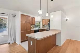 2329 E Orangehill Ave, Palm Harbor, FL 34683 - Photo 8