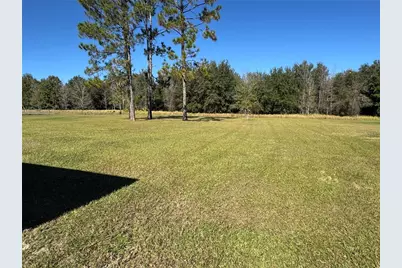 31326 Tyndall Road, Wesley Chapel, FL 33545 - Photo 22