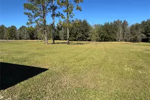 31326 Tyndall Rd, Wesley Chapel, FL 33545 - Photo 22