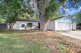 501 Hillpine Way, Brandon, FL 33510 - Photo 8