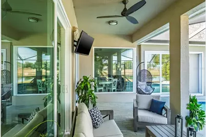 438 Equine Drive, Tarpon Springs, FL 34688 - Photo 52