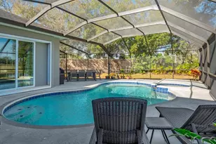 438 Equine Dr, Tarpon Springs, FL 34688 - Photo 56