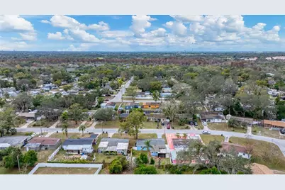 8611 Chinaberry Drive, Tampa, FL 33637 - Photo 8