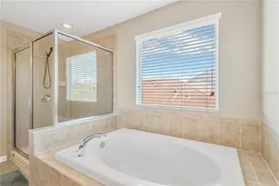 18345 Fish Loop, Land O Lakes, FL 34638 - Photo 18