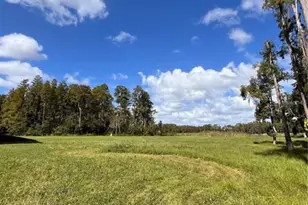 1029 Van Dyke Rd, Lutz, FL 33548 - Photo 1