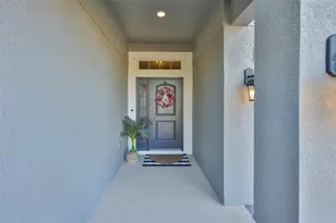 14524 Scottburgh Glen Dr, Wimauma, FL 33598 - Photo 2