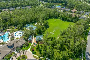 27021 Cotton Key Ln, Wesley Chapel, FL 33544 - Photo 8