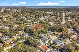 2513 Frisco Dr, Clearwater, FL 33761 - Photo 86