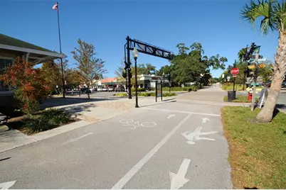 1529 Paloma Lane, Dunedin, FL 34698 - Photo 40