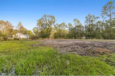 26305 Bluestripe Drive, Wesley Chapel, FL 33544 - Photo 26