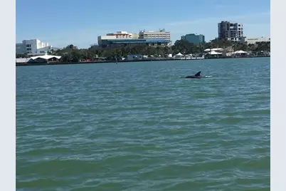 1481 Drew Street, Clearwater, FL 33755 - Photo 14