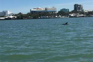 1481 Drew St, Clearwater, FL 33755 - Photo 14