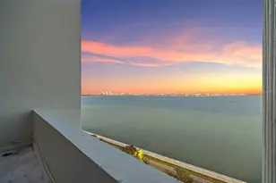 4141 Bayshore Blvd, Tampa, FL 33611 - Photo 2