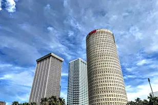 7606 Pinery Way, Tampa, FL 33615 - Photo 10