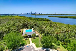 842 Tennyson Mill Cir, Tampa, FL 33619 - Photo 38