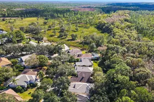 17704 Nathans Dr, Tampa, FL 33647 - Photo 34