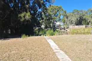 14547 Sassandra Dr, Odessa, FL 33556 - Photo 22