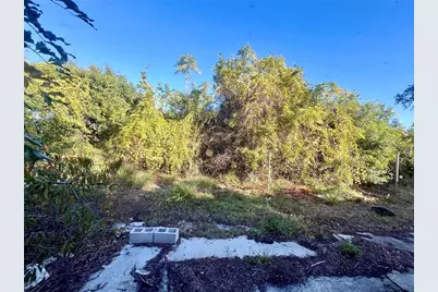 11641 129th Avenue, Largo, FL 33778 - Photo 14