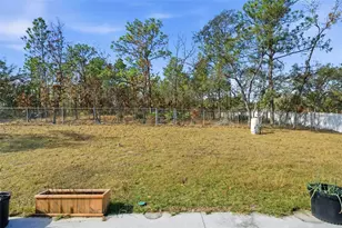 16287 Little Auk Rd, Weeki Wachee, FL 34614 - Photo 46