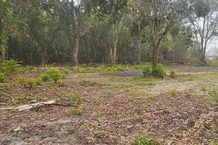 Pevetty, Plant City, FL 33563 - Photo 4