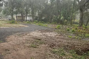 Pevetty, Plant City, FL 33563 - Photo 2