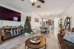 21447 Starry Eyes Wy, Land O Lakes, FL 34637 - Photo 6