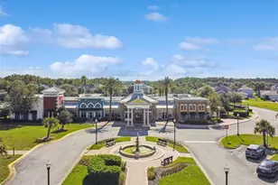 21447 Starry Eyes Wy, Land O Lakes, FL 34637 - Photo 26