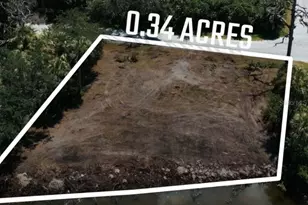 6841 Oelsner St, New Port Richey, FL 34652 - Photo 8