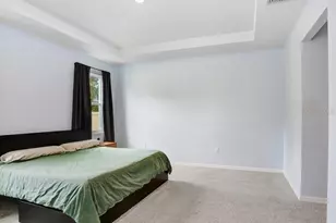 16619 Goose Ribbon Pl, Wimauma, FL 33598 - Photo 16