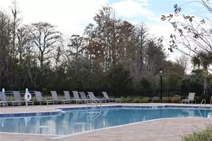 16310 Bird of Paradise Ave, Clermont, FL 34714 - Photo 22