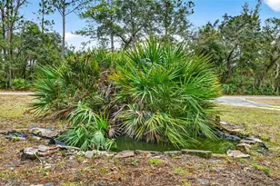 6781 W Grant St, Homosassa, FL 34448 - Photo 24