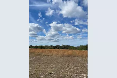 14421 Seminole Trail, Wimauma, FL 33598 - Photo 10