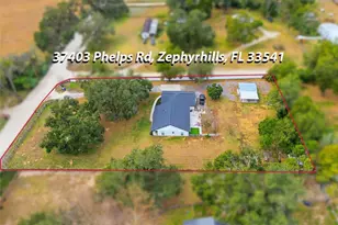 37403 Phelps Rd, Zephyrhills, FL 33541 - Photo 36