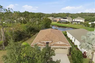 10618 Blue Coral Ln, Tampa, FL 33647 - Photo 40