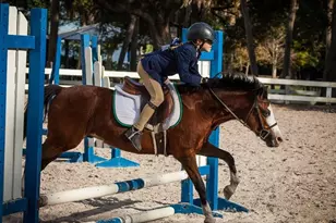 3132 Santorini Ct, Tampa, FL 33611 - Photo 56