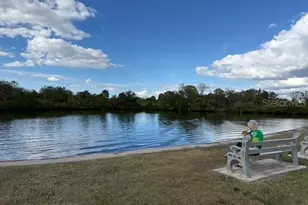 175 N St Thomas Cir, Apollo Beach, FL 33572 - Photo 24