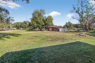 902 Charlie Griffin Rd, Plant City, FL 33566 - Photo 66