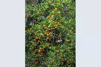 22380 Powell Road, Brooksville, FL 34602 - Photo 40