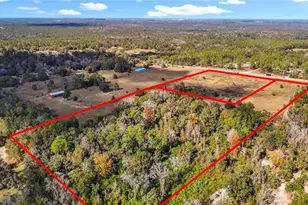 22380 Powell Rd, Brooksville, FL 34602 - Photo 36